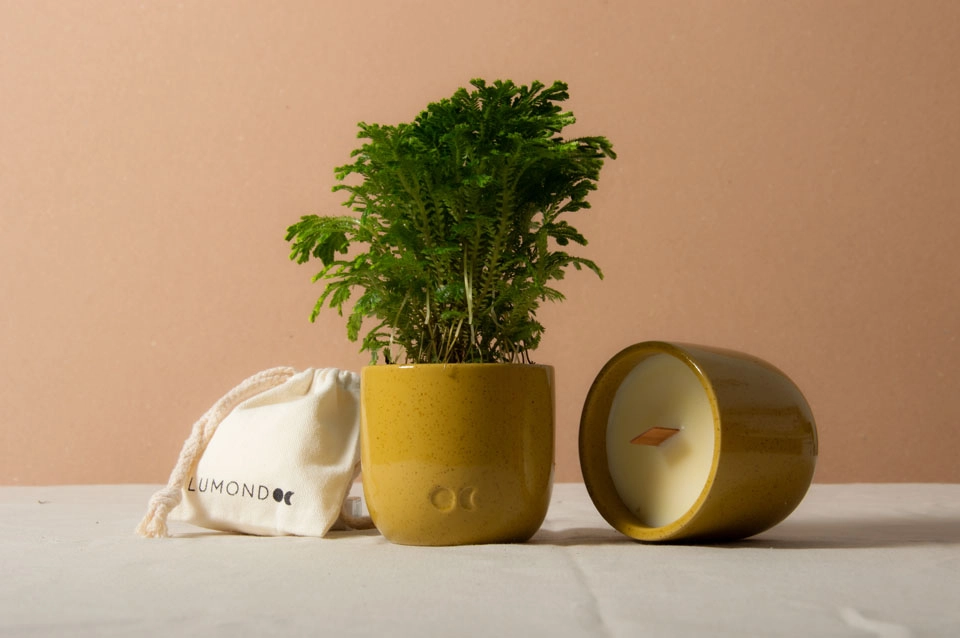 Ceramic Scented Candle Neroli with Seed Paper_0425.jpg