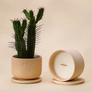 Vela de Cerâmica em Flor – Âmbar – 220 g