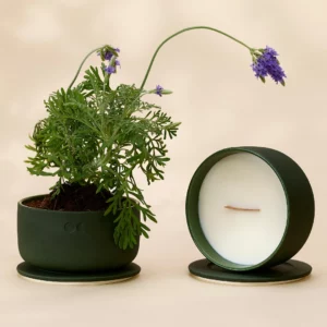 Vela de Cerâmica Florescente – Zimbro e Alfazema – 440g