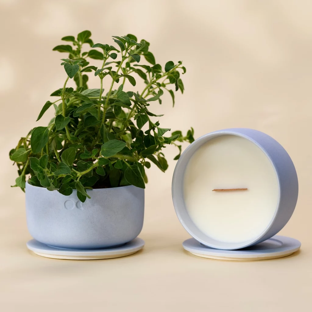 BLÜHENDE KERAMIKKERZE - ZITRONENGRAS BERGAMOTTE - 440G