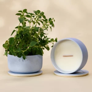 Vela de Cerâmica Florescente – Erva-limão e Bergamota – 440g