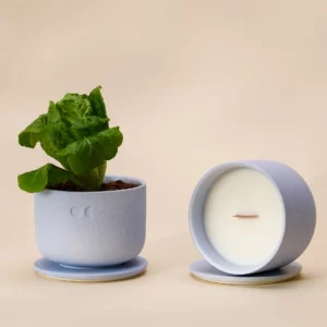 Vela de Cerâmica em Flor – Erva-Príncipe & Bergamota – 220 g