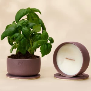 Vela de Cerâmica Florescente – Lima, Manjericão e Citrinos – 440g