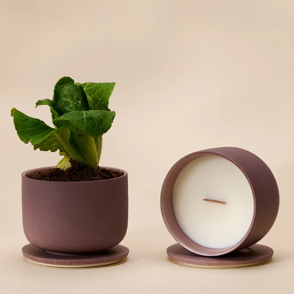 Blooming Ceramic Candle – Lime Basil and Citrus