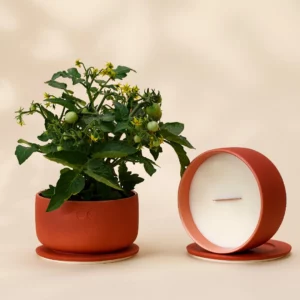 Vela de Cerâmica Florescente – Sândalo – 440g