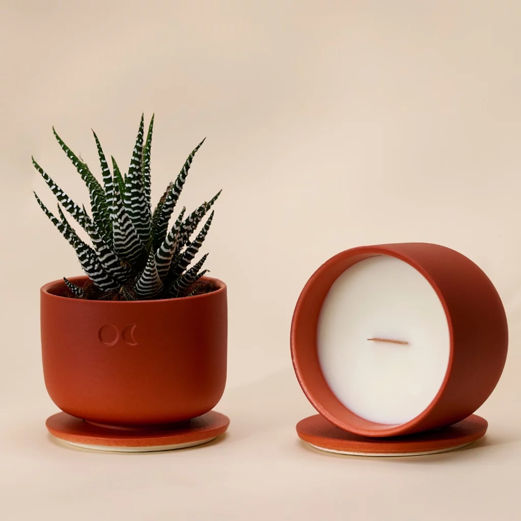 Sandalwood - Medium Size