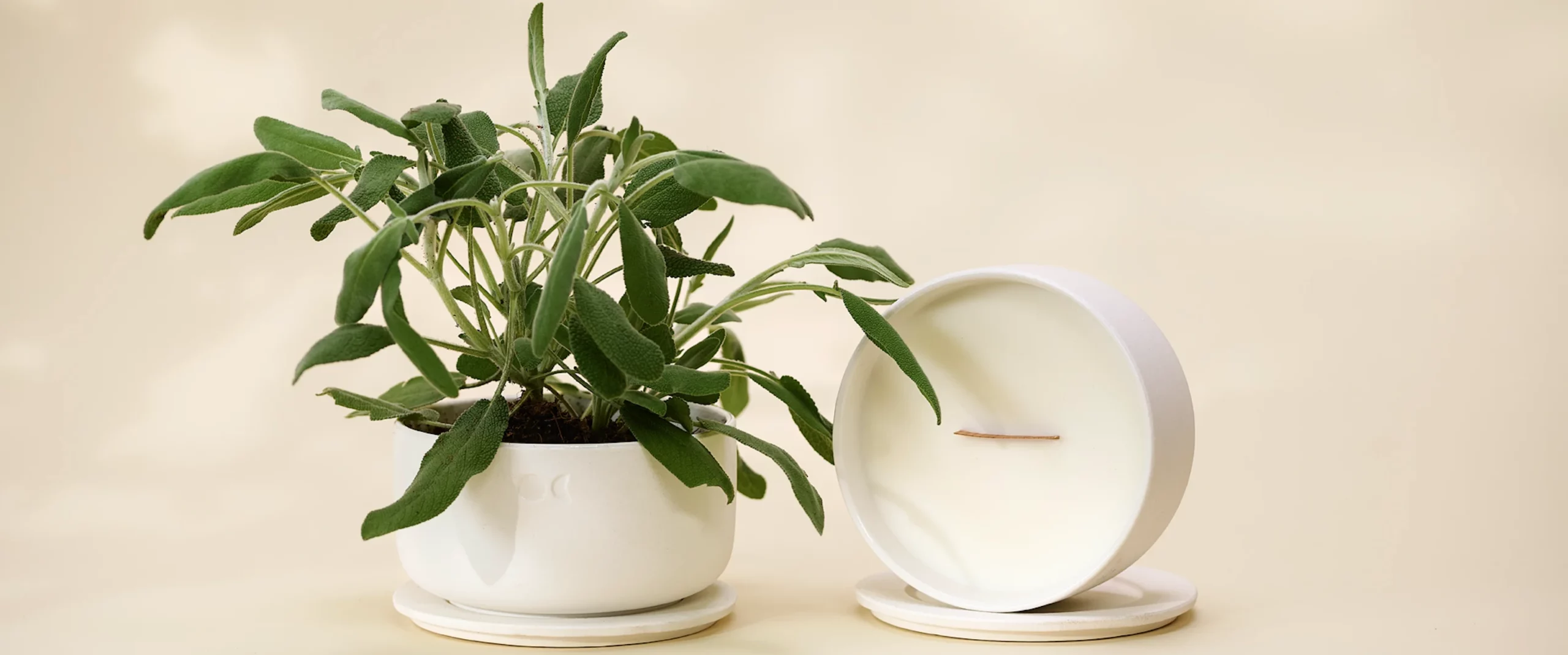 Christmas scented candle