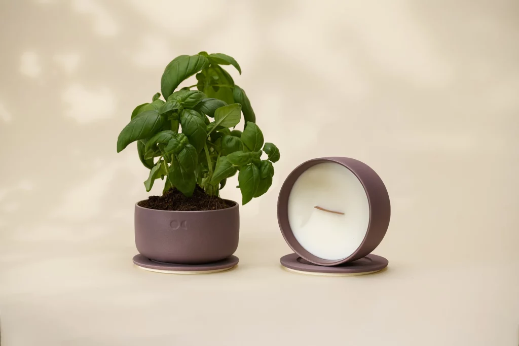 Lime Basil and Citrus