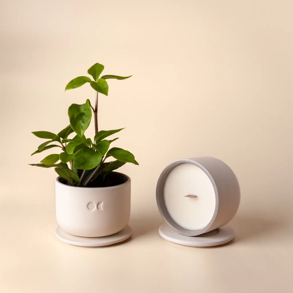 BLOMSTRENDE KERAMISK LYS – CEDERTRÆ & PATCHOULI – 220G