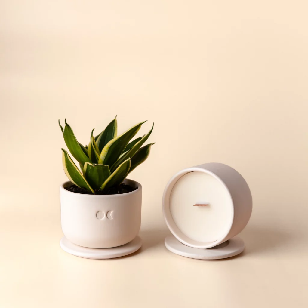 BLOMSTRENDE KERAMISK LYS – EUKALYPTUS – 220G