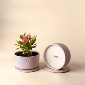 Vela de Cerâmica em Flor – Oud & Rosas – 440 g