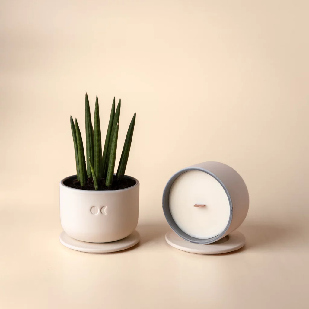 BLOMSTRENDE KERAMISK LYS – VETIVER – 220G