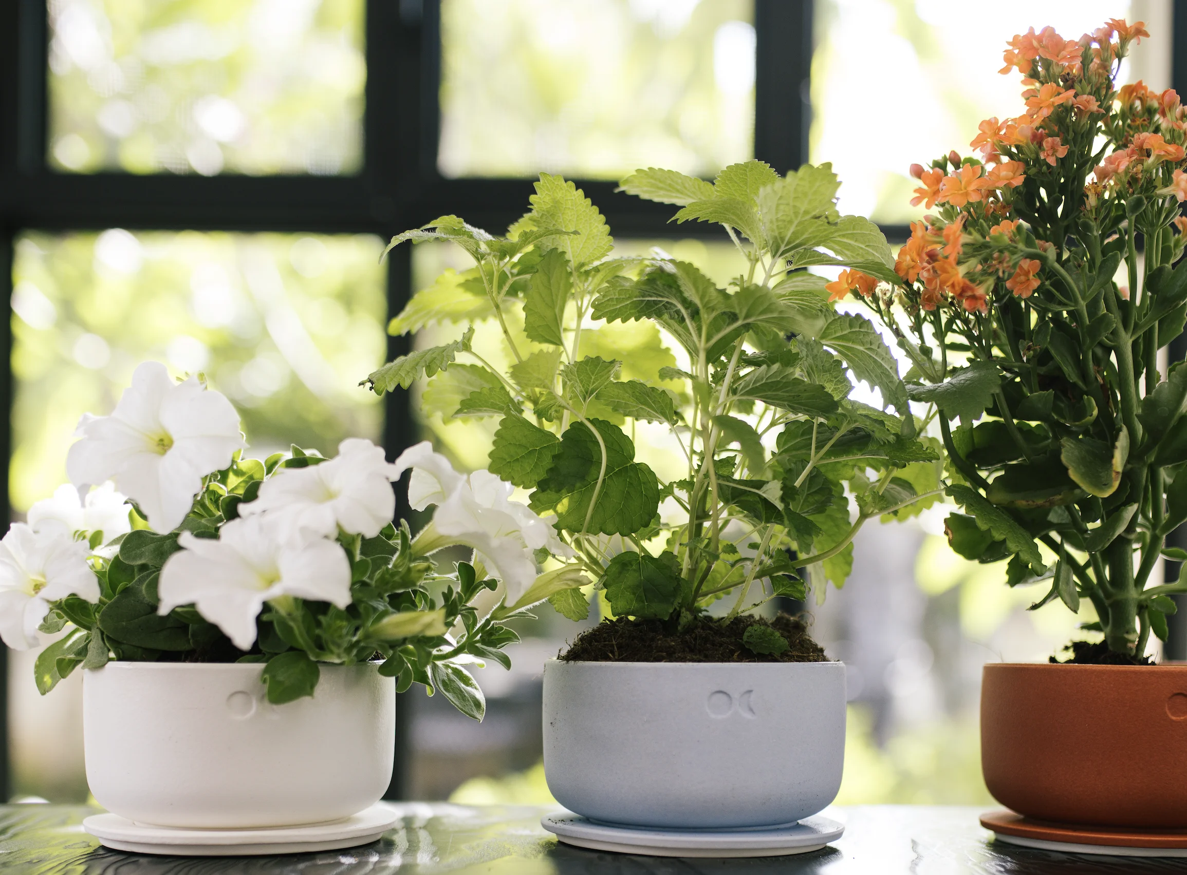 Sojawachskerzen Lumond