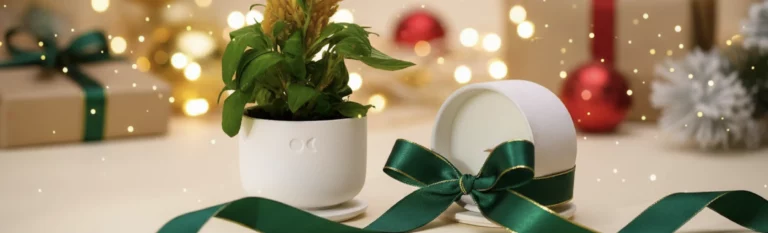 besten Kerzen als Geschenk